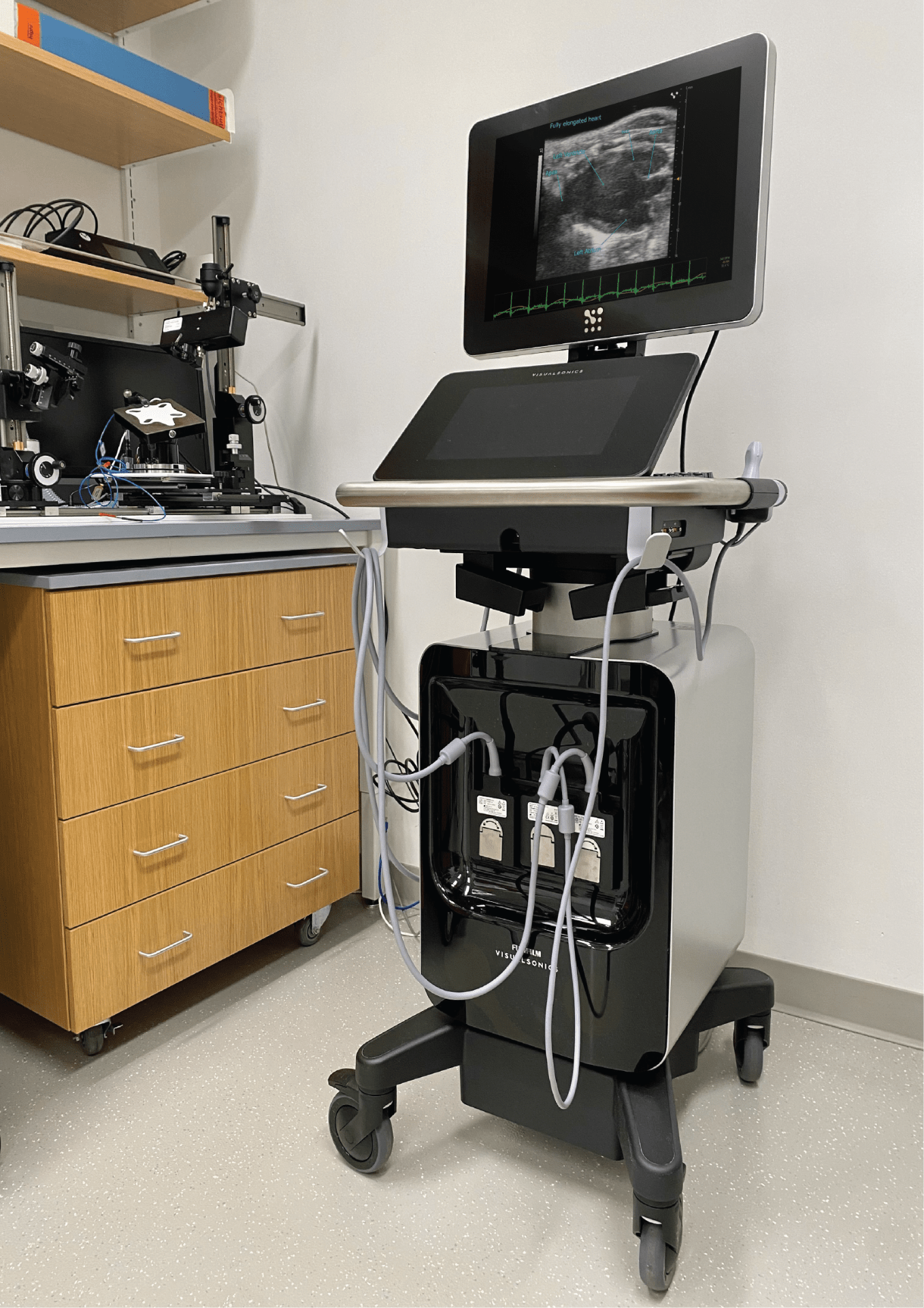 Preclinical Imaging Ultrasounds 